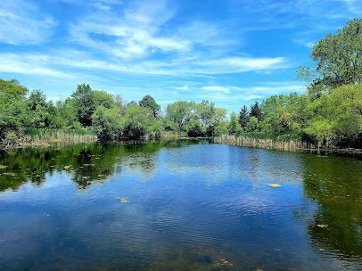 Emily Oaks Nature Center photo 4
