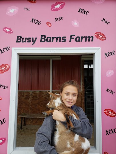 Busy Barn Farm Adventures