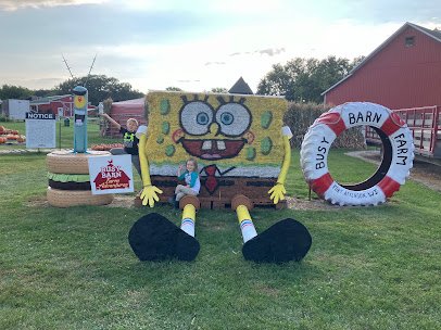 Busy Barn Farm Adventures photo 2