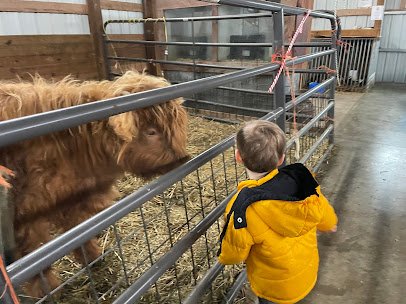 Busy Barn Farm Adventures photo 3