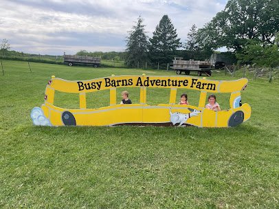 Busy Barn Farm Adventures photo 5
