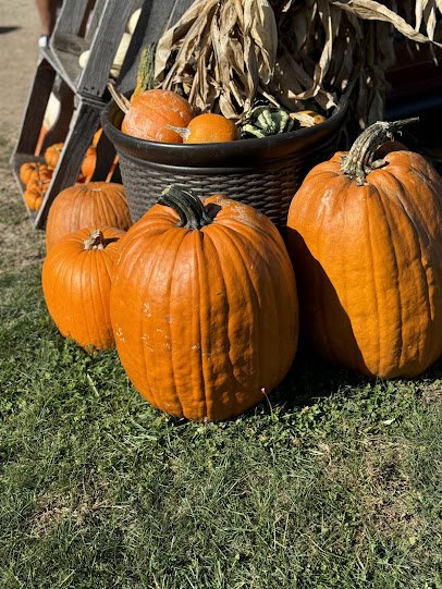 Busy Barn Farm Adventures photo 6