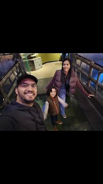 Newport Aquarium photo 2