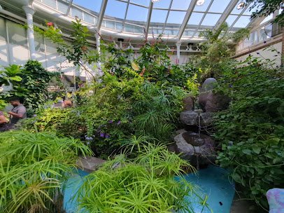 Detroit Zoo Butterfly Garden photo 2