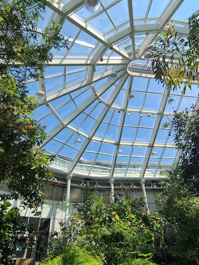 Detroit Zoo Butterfly Garden photo 3