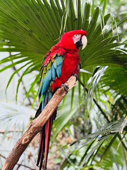 Detroit Zoo Butterfly Garden photo 4