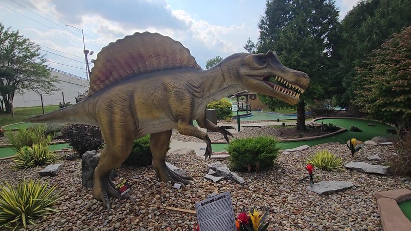 Fun 'n' Stuff photo 2