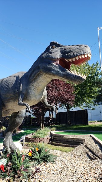 Fun 'n' Stuff photo 5