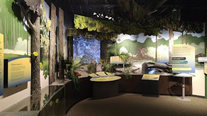 Weedon Island Preserve Cultural and Natural History Center photo 3