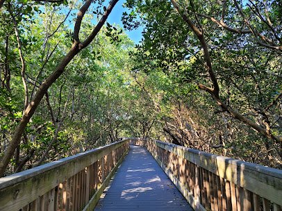 Weedon Island Preserve Cultural and Natural History Center photo 5
