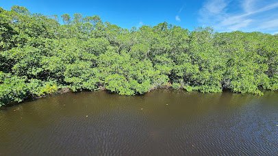Weedon Island Preserve Cultural and Natural History Center photo 6
