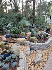 Port St. Lucie Botanical Gardens photo 5