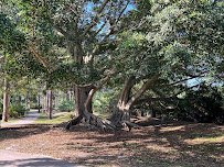Port St. Lucie Botanical Gardens photo 6