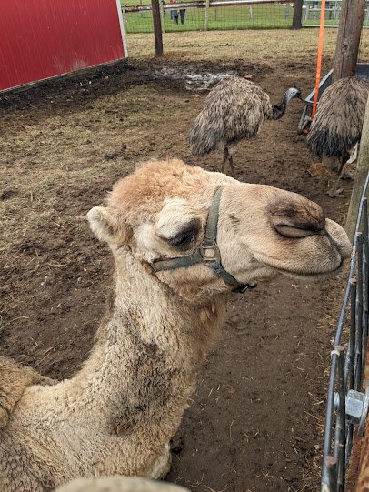 Hobson Adventure Farm photo 3
