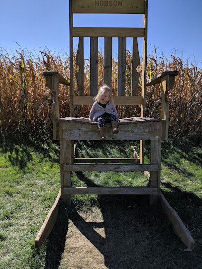 Hobson Adventure Farm photo 4