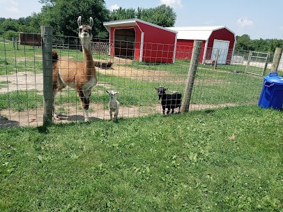 Hobson Adventure Farm photo 6