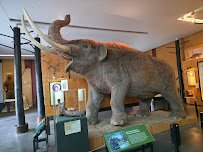 Cranbrook Institute of Science photo 3