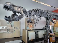 Cranbrook Institute of Science photo 5