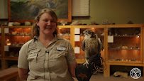 Hutchings Museum photo 2