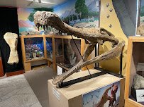Hutchings Museum photo 4
