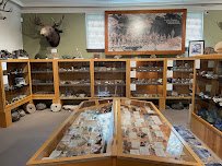 Hutchings Museum photo 5