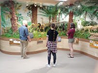 Hutchings Museum photo 6