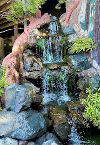 Humboldt Redwood Company Fishery Exhibit photo 3
