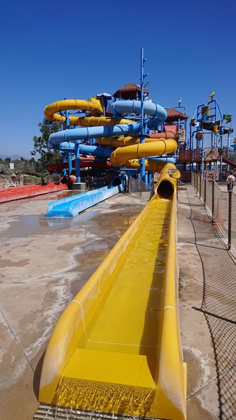 Boomers Irvine photo 5