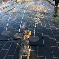 Wharf Kids Water Park photo 5