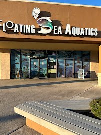 Floating Sea Aquatics