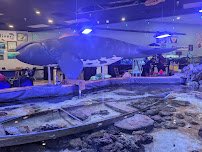 Floating Sea Aquatics photo 3