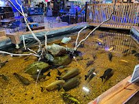 Floating Sea Aquatics photo 4