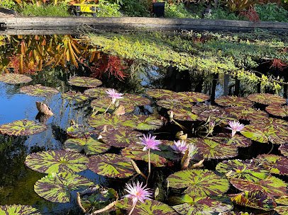 Naples Botanical Garden photo 5