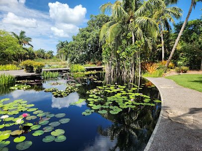 Naples Botanical Garden photo 6