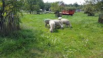 Kline Creek Farm (living history museum) photo 2