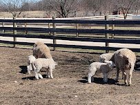 Kline Creek Farm (living history museum) photo 6