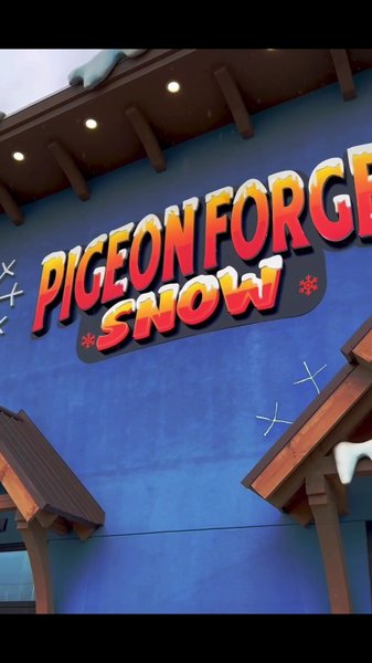 Pigeon Forge Snow photo 2