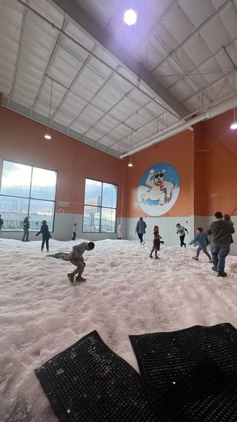 Pigeon Forge Snow photo 4