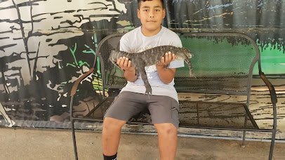 Gators and Friends photo 2