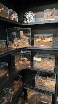 The Reptile Room - St.Louis photo 3