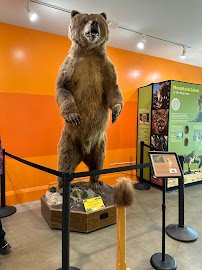 Lindsay Wildlife Experience photo 4