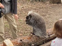 Lindsay Wildlife Experience photo 6
