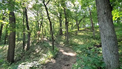 Dorothy Pecaut Nature Center photo 2