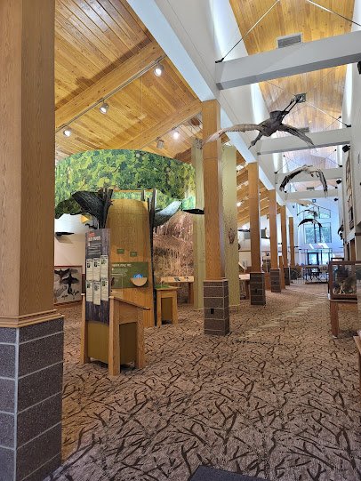 Dorothy Pecaut Nature Center photo 5