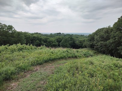Dorothy Pecaut Nature Center photo 6