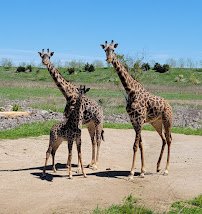 Columbus Zoo and Aquarium photo 4