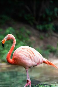 Columbus Zoo and Aquarium photo 5