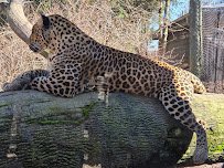 Columbus Zoo and Aquarium photo 6