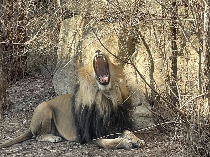 Zoo Boise photo 6