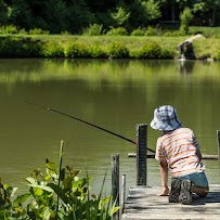 The Lilly Pad Village photo 2